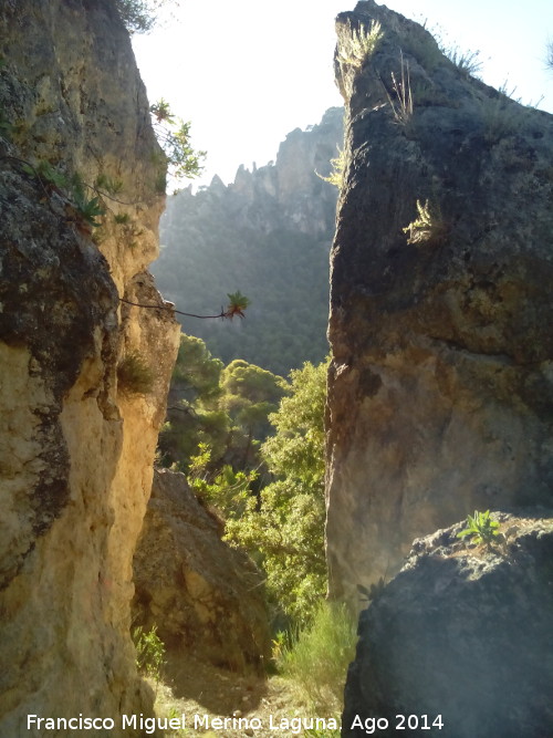 Camino de la Canalizacin de Otiar - Camino de la Canalizacin de Otiar. Paso