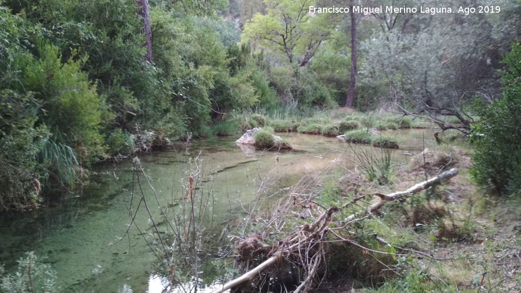 Aguascebas Grande - Aguascebas Grande. A la altura del Molino de la Parra