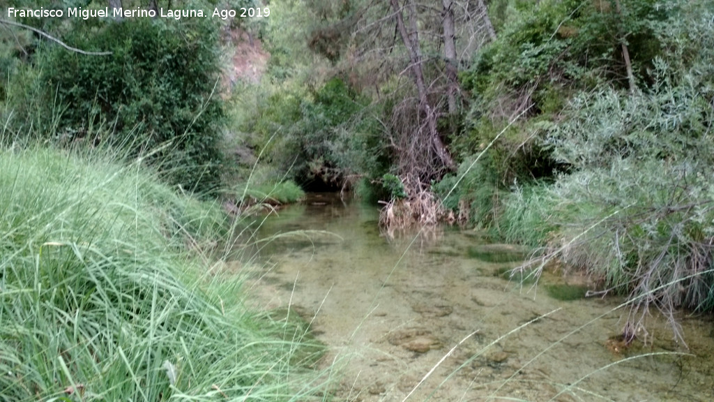Aguascebas Grande - Aguascebas Grande. Aguas abajo del Molino de la Parra