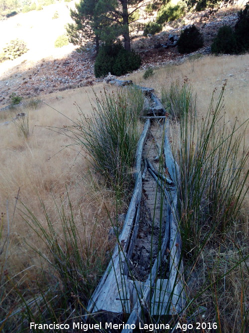 Tornajos de la Tejera - Tornajos de la Tejera. 