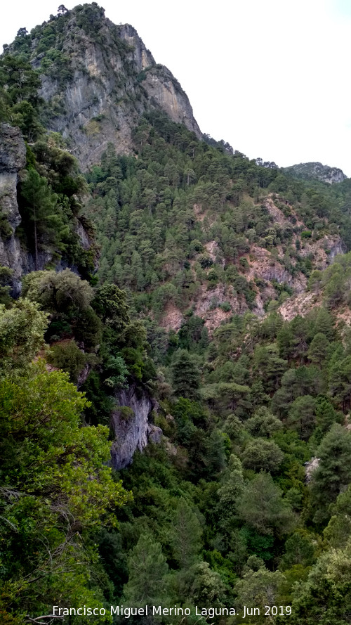 Morrn del Poyo de los Robles - Morrn del Poyo de los Robles. Desde la cuenca alta del Aguascebas Grande