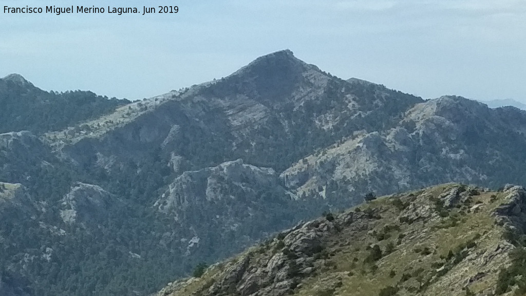 Morrn del Poyo de los Robles - Morrn del Poyo de los Robles. Desde la Raspa de Caballo Torraso