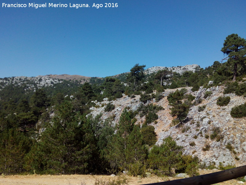 Mirador Camino del Blanquillo - Mirador Camino del Blanquillo. Vistas