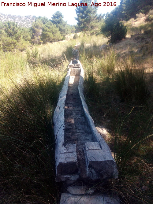 Tornajos del Pino - Tornajos del Pino. 