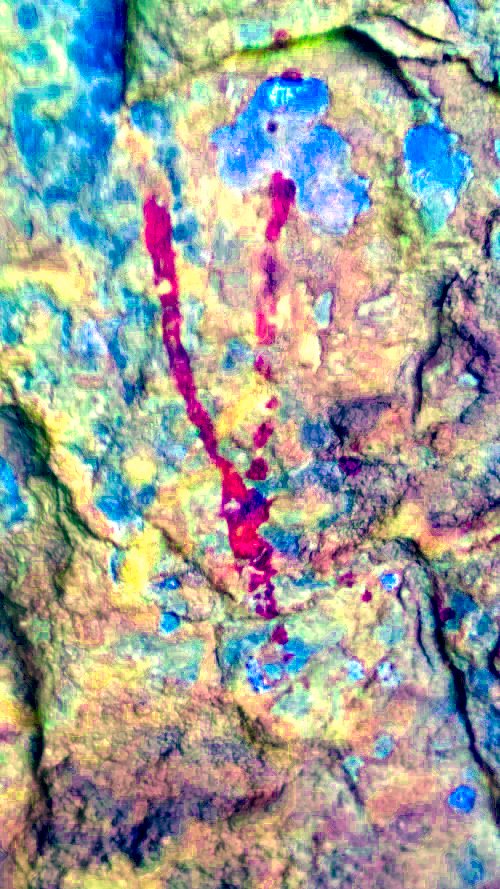 Pinturas rupestres del Abrigo de Mingo - Pinturas rupestres del Abrigo de Mingo. Tratada con Dstretch