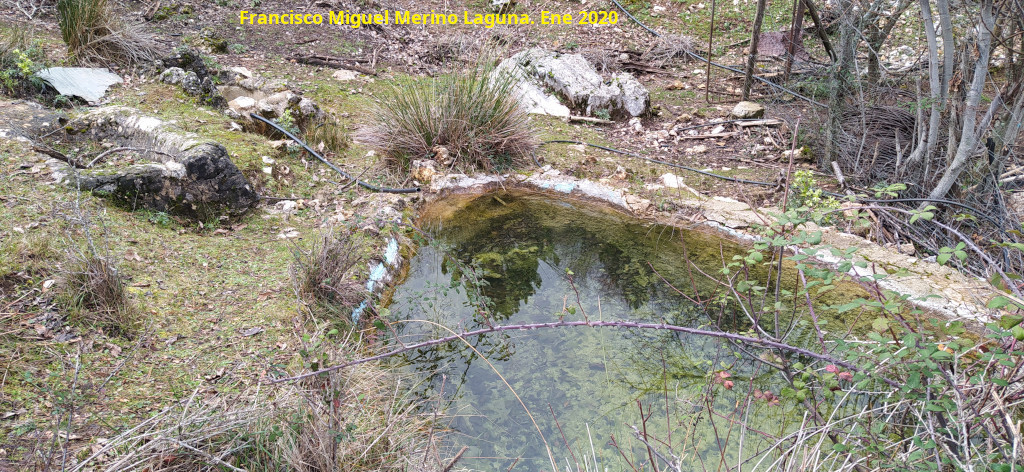 Fuentes de los Castellones del Valle - Fuentes de los Castellones del Valle. Fuentes