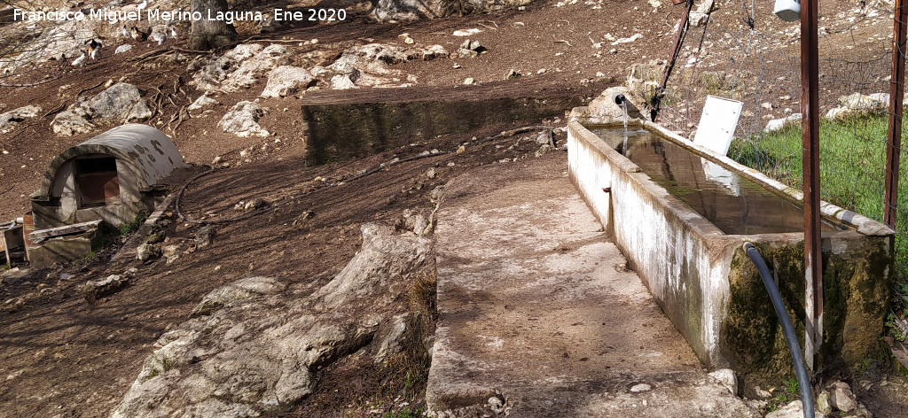 Fuente del Cortijo del Arroyo Maillar - Fuente del Cortijo del Arroyo Maillar. 