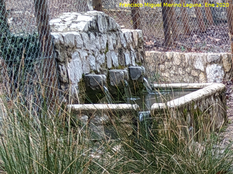 Fuente del Oso - Fuente del Oso. 