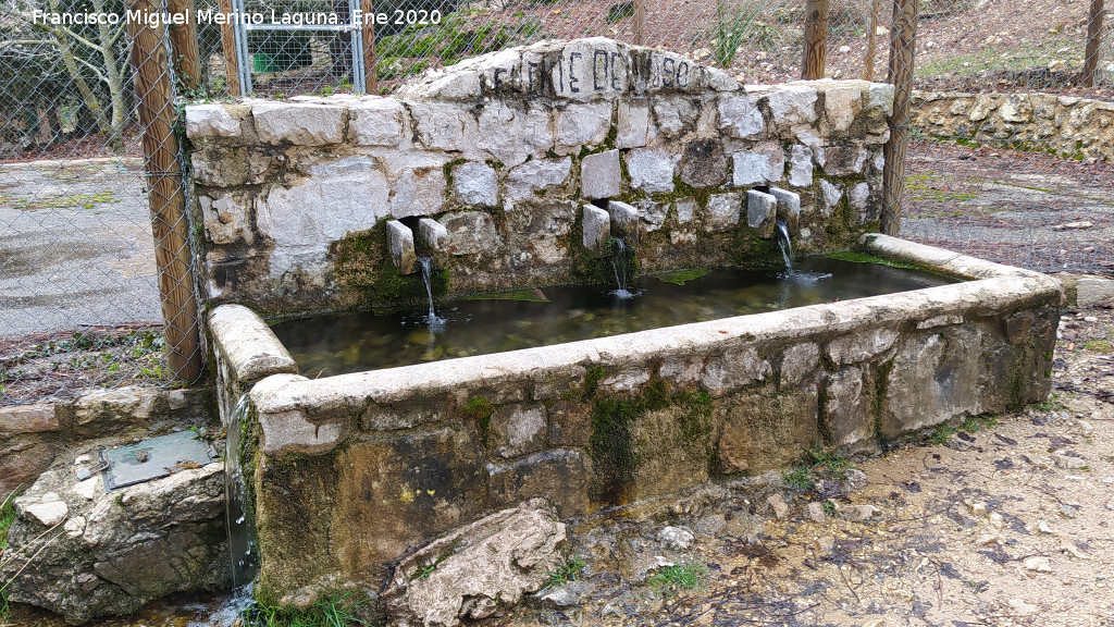 Fuente del Oso - Fuente del Oso. 