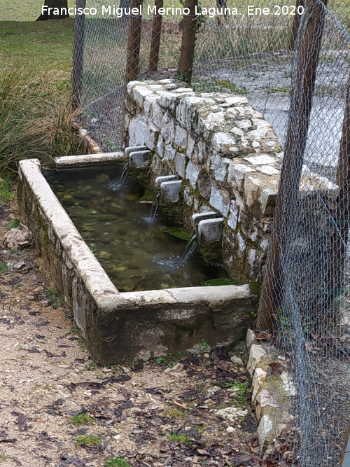 Fuente del Oso - Fuente del Oso. 