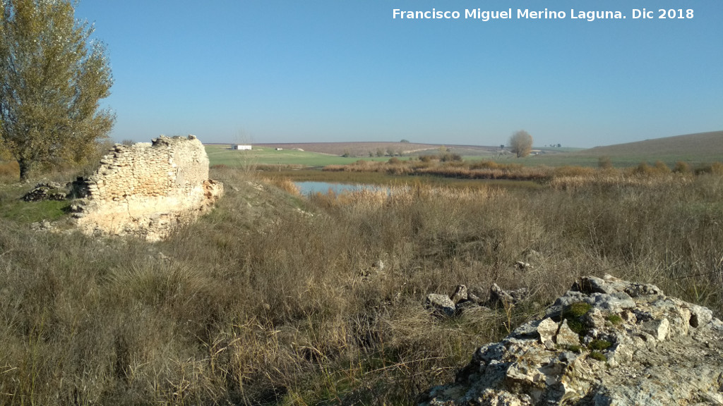 Molino Grin - Molino Grin. 