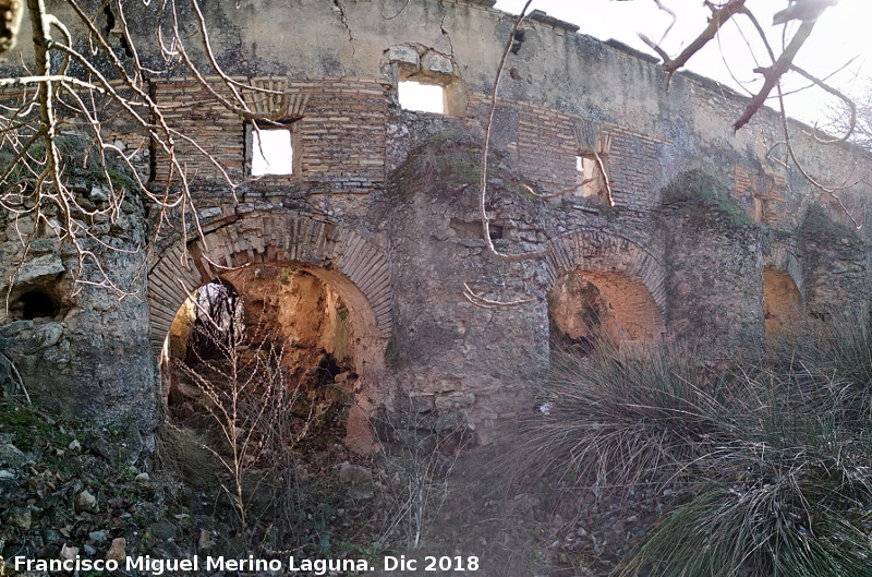 Molino Grin - Molino Grin. 