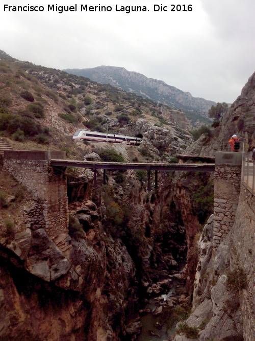 Va frrea del Chorro - Va frrea del Chorro. Tren a la altura del Puente del Rey