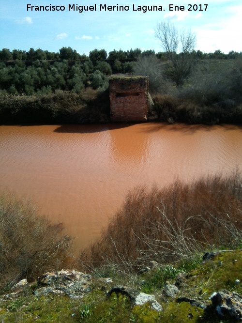 Ro Guadalimar - Ro Guadalimar. A la altura del Puente Mocho de Linares