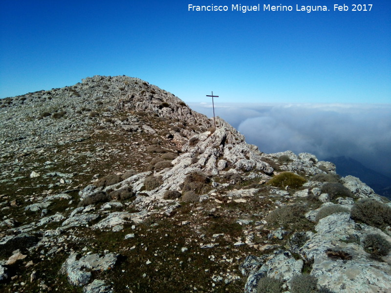 Cruz del Aznaitn de Albanchez - Cruz del Aznaitn de Albanchez. 