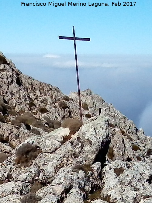 Cruz del Aznaitn de Albanchez - Cruz del Aznaitn de Albanchez. 