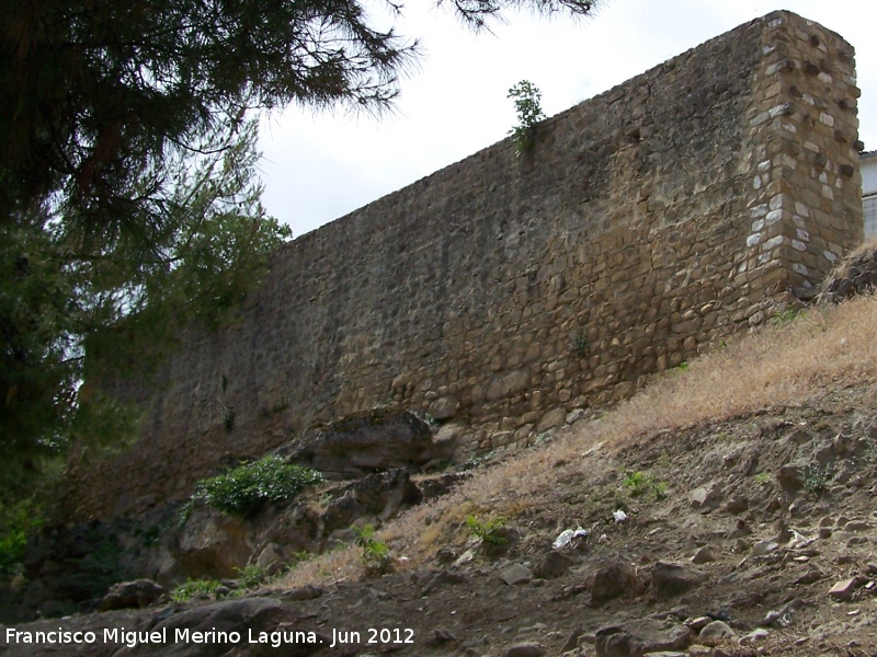 Muralla de Sabiote - Muralla de Sabiote. Muralla Norte