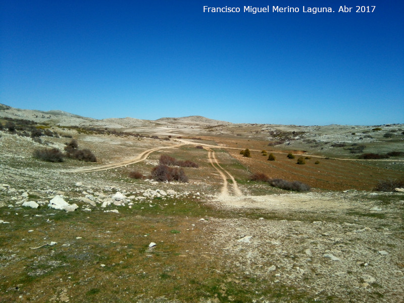 Alto de Pinar Negro - Alto de Pinar Negro. 