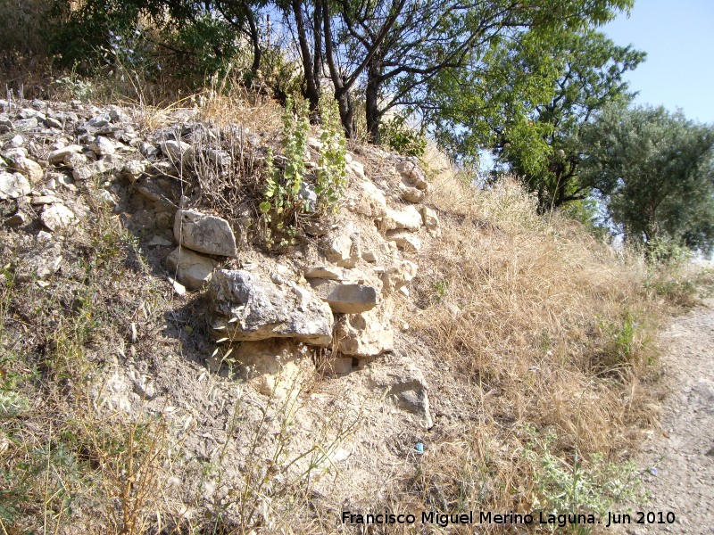 Oppidum del Cerro Miguelico - Oppidum del Cerro Miguelico. Esquina trasera