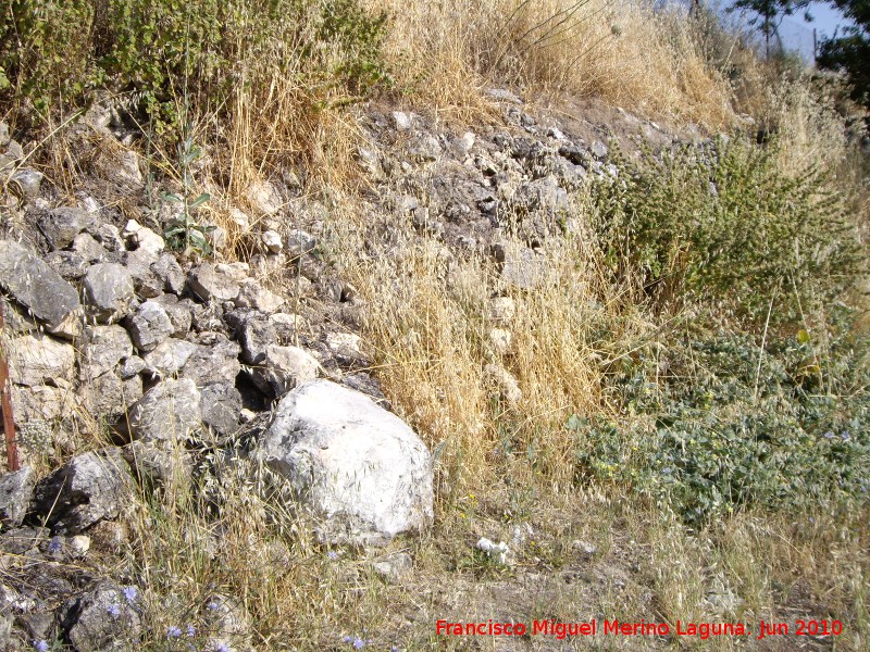 Oppidum del Cerro Miguelico - Oppidum del Cerro Miguelico. Parte trasera