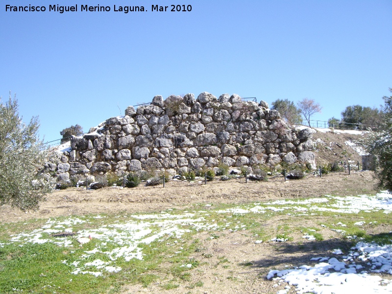 Oppidum del Cerro Miguelico - Oppidum del Cerro Miguelico. Muralla ciclopea