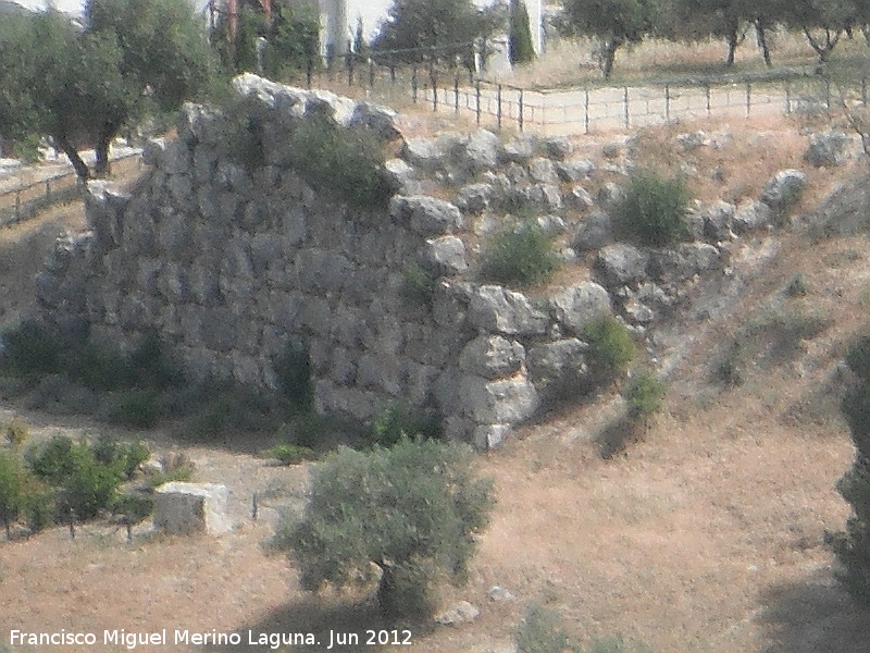 Oppidum del Cerro Miguelico - Oppidum del Cerro Miguelico. 