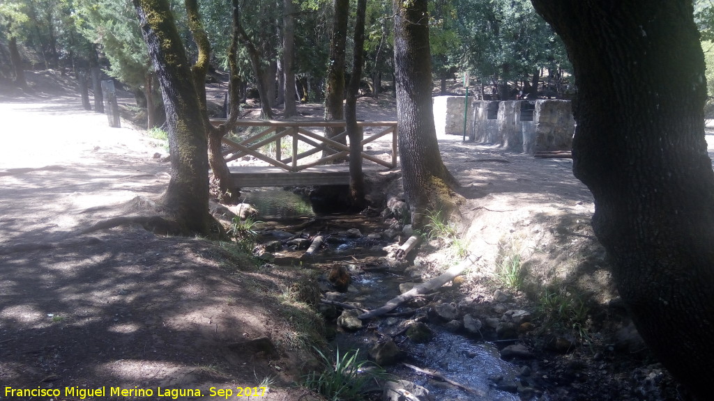 Zona de Acampada La Huerta Vieja - Zona de Acampada La Huerta Vieja. Arroyo Retozadero a su paso por la zona de acampada