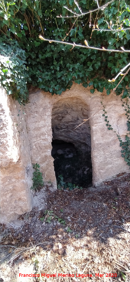 Cueva de la Zorra - Cueva de la Zorra. Puerta