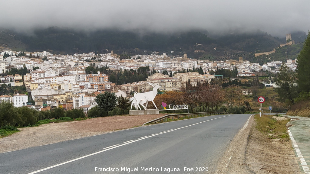 Ciervos de Papiroflexia - Ciervos de Papiroflexia. Situaci�n