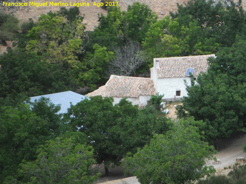 Cortijo Alamillos Bajos - Cortijo Alamillos Bajos. 