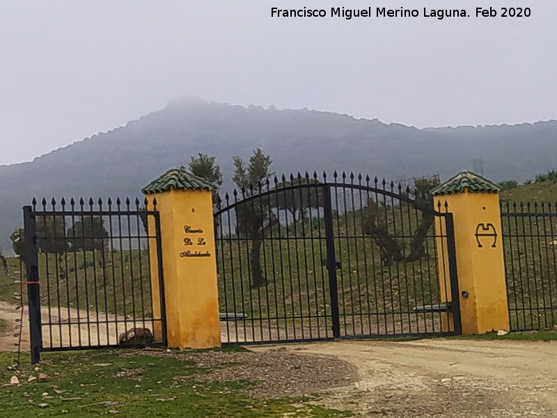 Castillo de la Alcolehuela - Castillo de la Alcolehuela. 