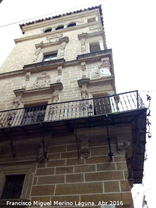 Palacio de los Condes de Guadiana - Palacio de los Condes de Guadiana. 