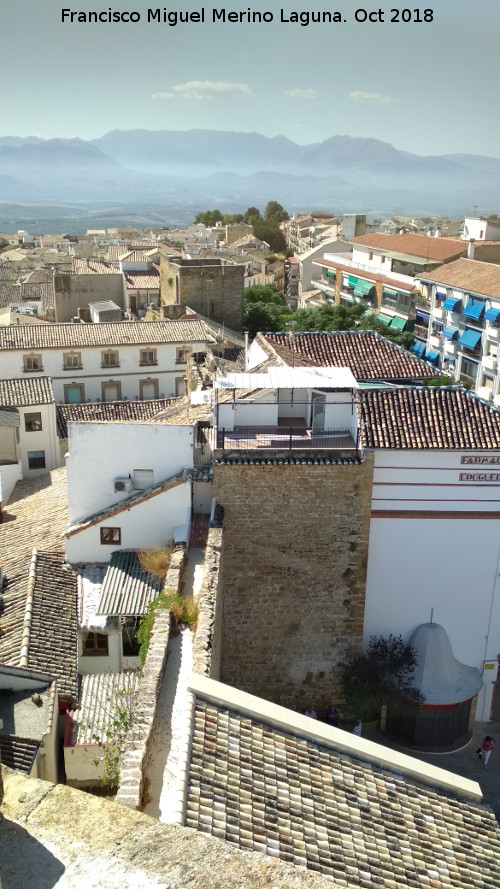 Muralla de beda - Muralla de beda. Desde la Torre del Reloj