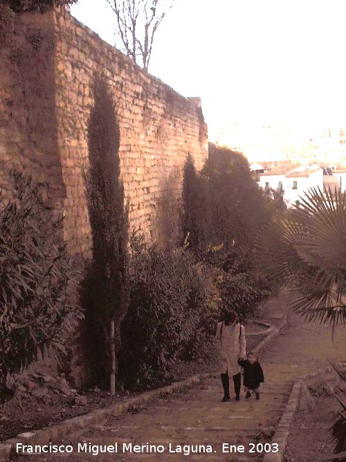 Muralla de San Milln - Muralla de San Milln. 