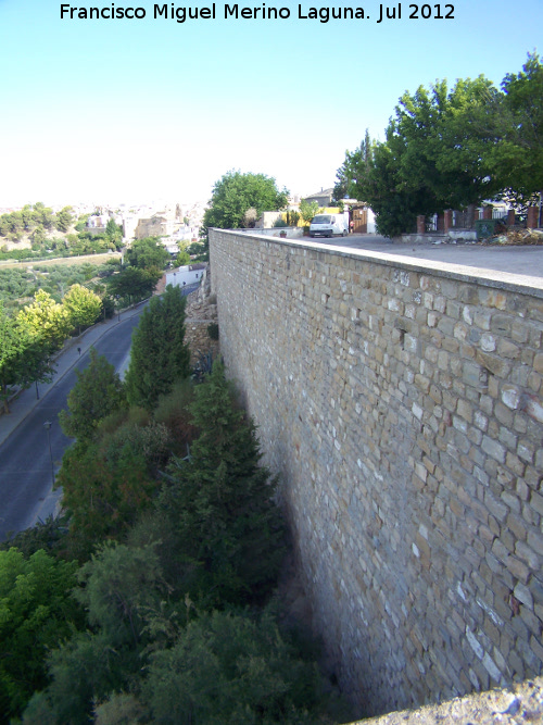 Muralla de Saludeja - Muralla de Saludeja. 