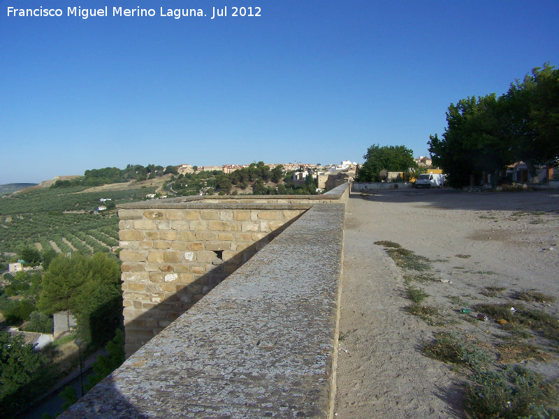 Muralla de Saludeja - Muralla de Saludeja. 