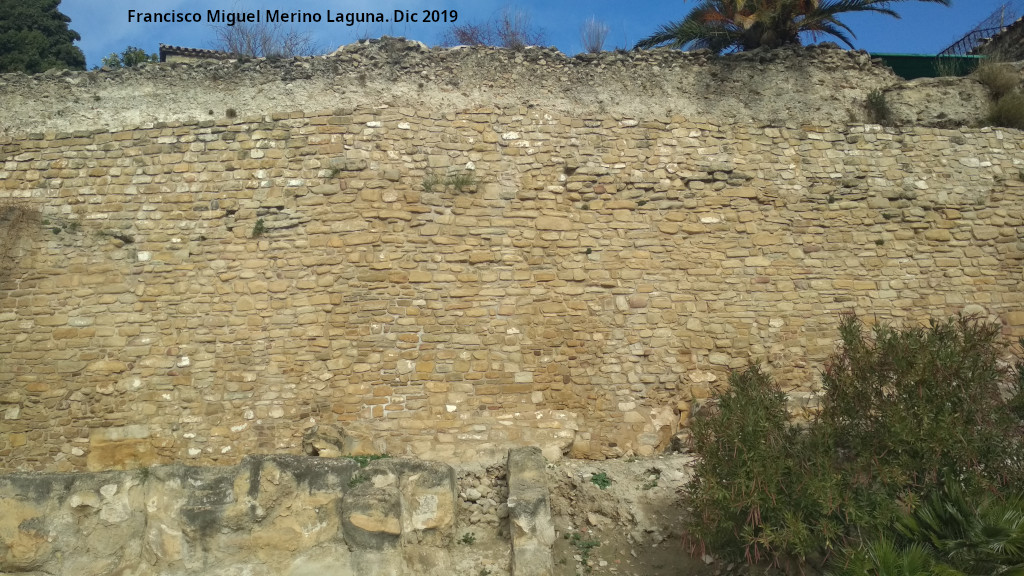Muralla de Saludeja - Muralla de Saludeja. Lienzo