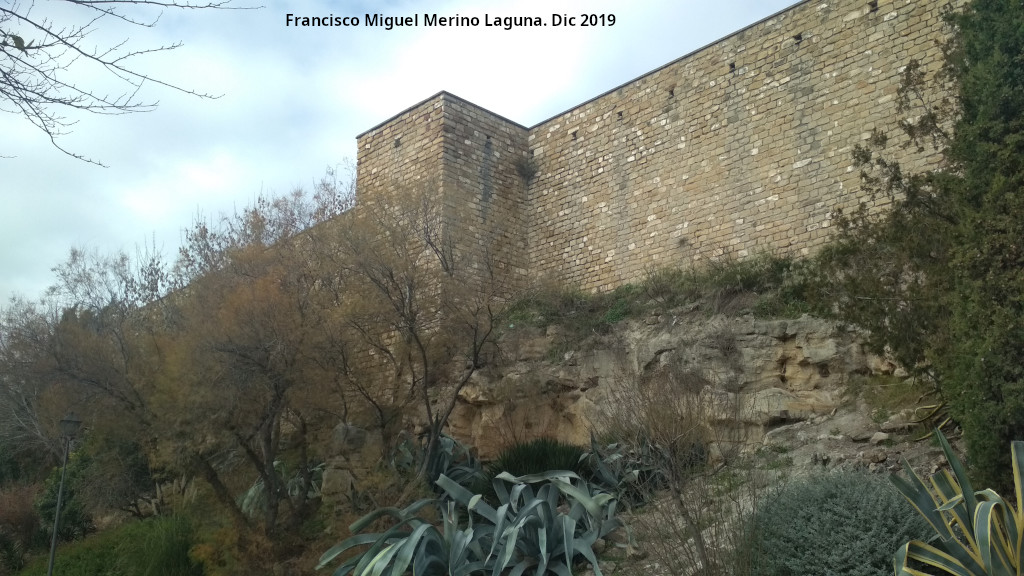 Muralla de Saludeja - Muralla de Saludeja. 