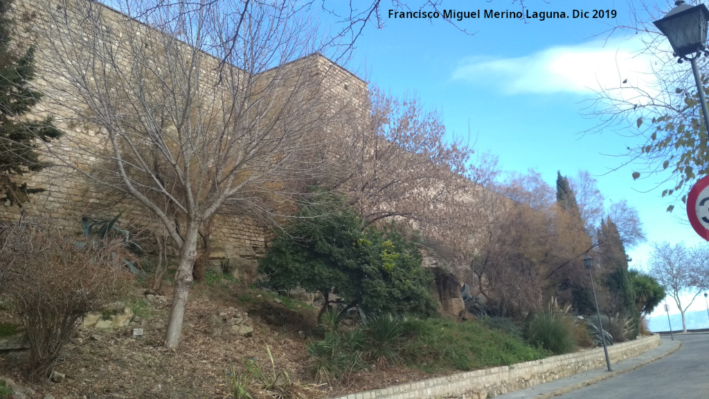 Torren de Saludeja VI - Torren de Saludeja VI. 