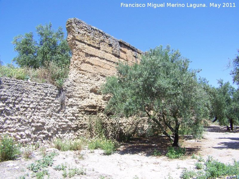 Salaria - Salaria. Gran muro