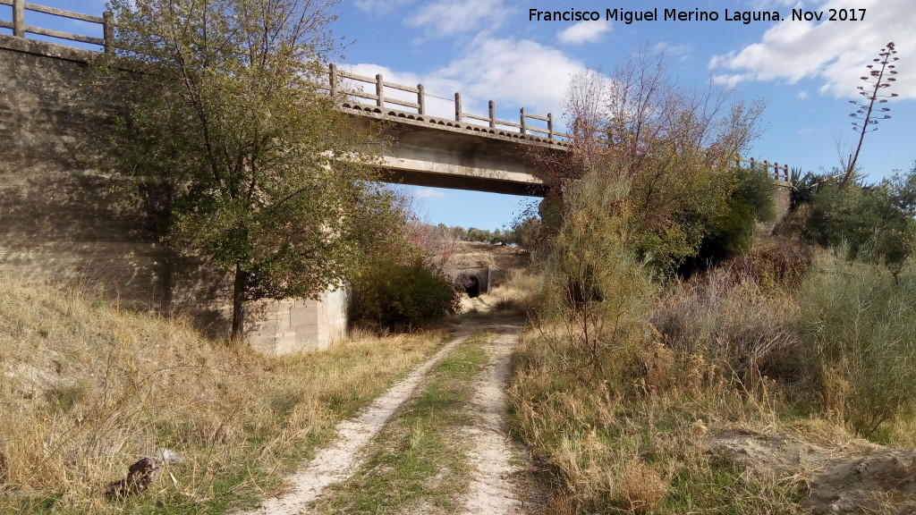 Tnel de Trivia - Tnel de Trivia. Puente y tnel