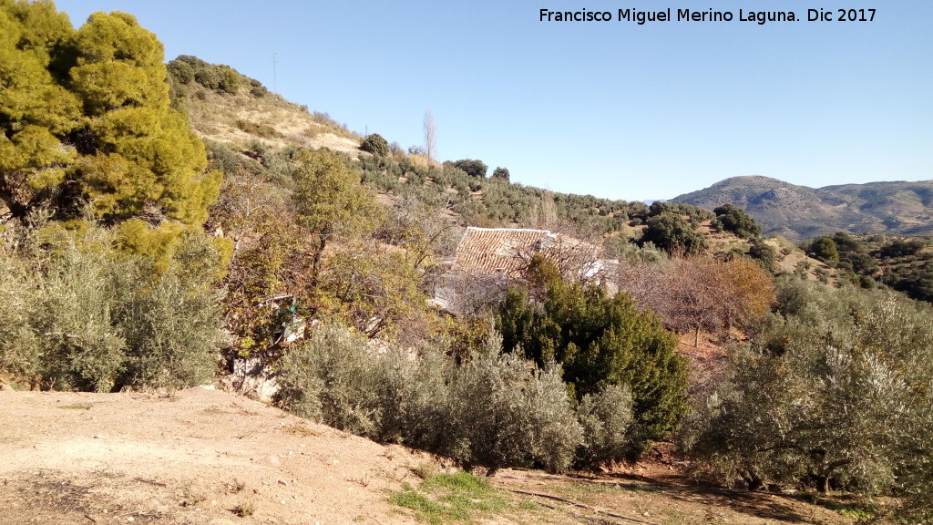 Cortijo de Cigarra - Cortijo de Cigarra. Paraje