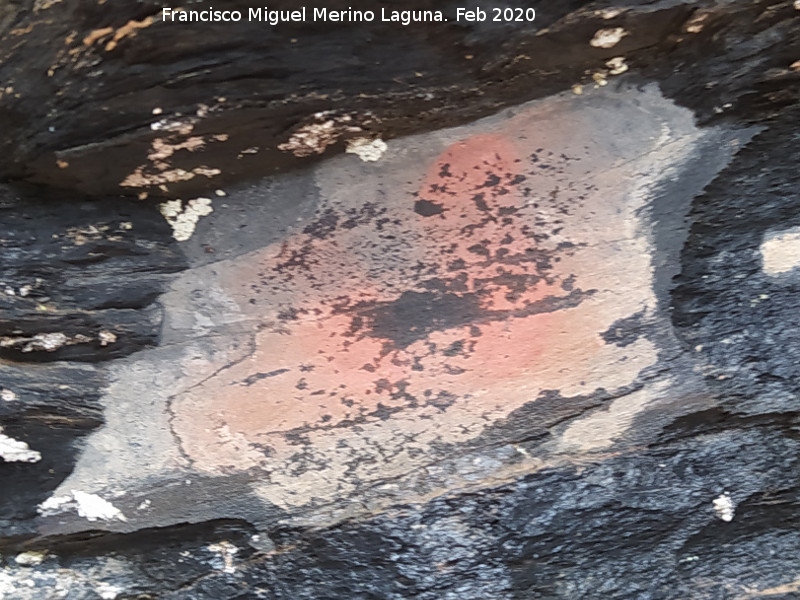 Pinturas rupestres del Abrigo del Guadal�n II - Pinturas rupestres del Abrigo del Guadal�n II. 