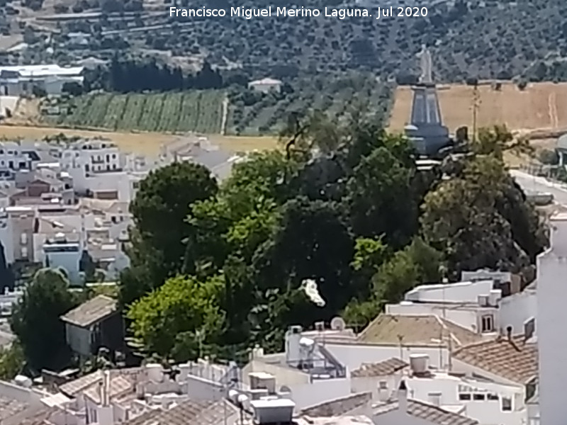 Sagrado Coraz�n - Sagrado Coraz�n. Desde el Castillo
