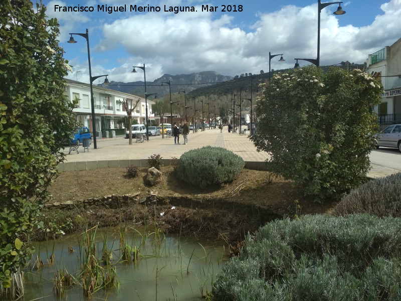 Paseo de la Alameda - Paseo de la Alameda. Desde la Charca de la Alameda