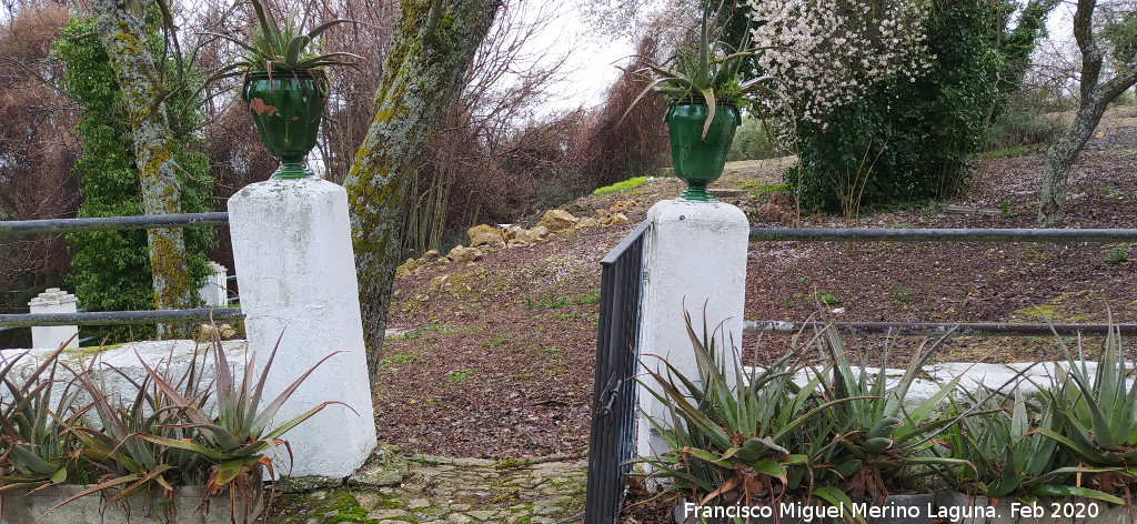 Cortijo de Torrequebrada - Cortijo de Torrequebrada. Jarrones del patn