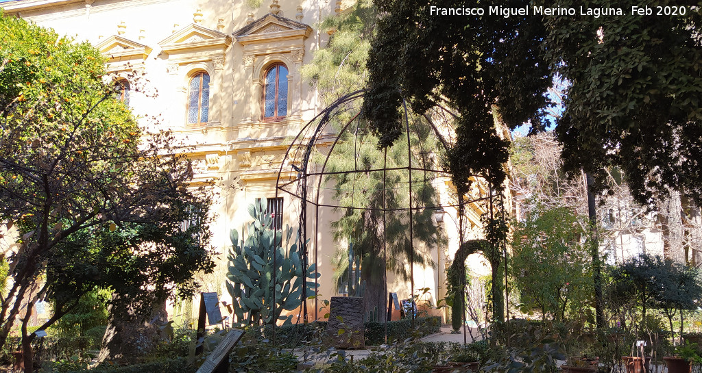 Jard�n Bot�nico - Jard�n Bot�nico. 