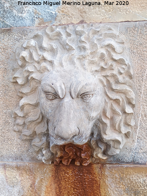 Fuente de la Calle Granadillos - Fuente de la Calle Granadillos. Cabeza de len