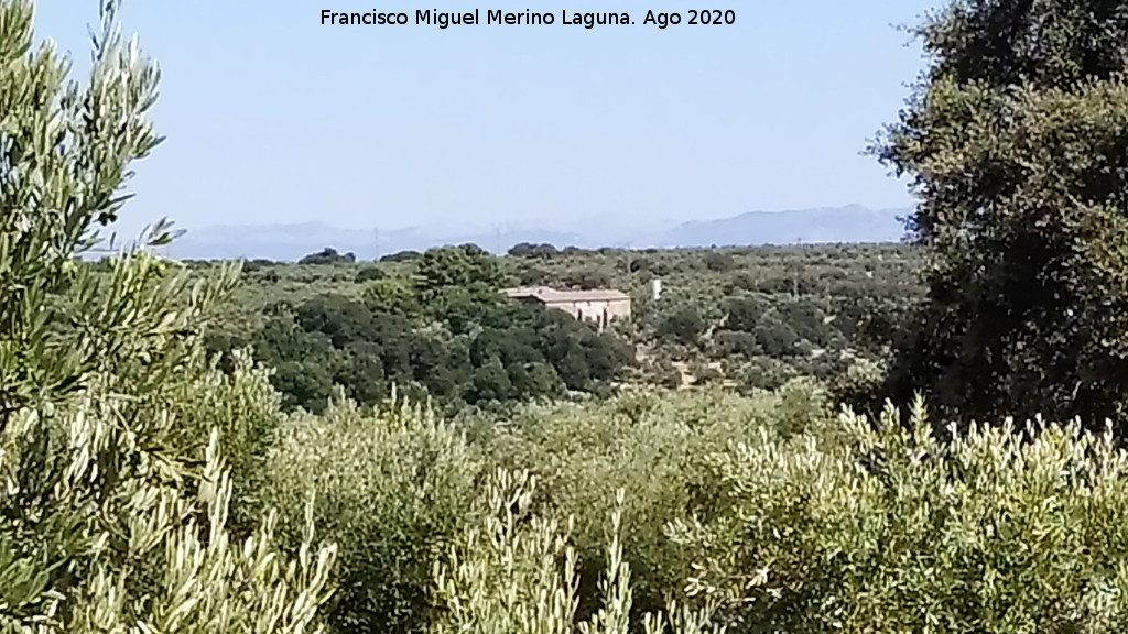 Cortijo de la Torre - Cortijo de la Torre. 