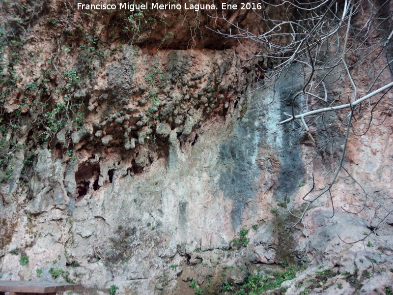 Charco de la Pringue - Charco de la Pringue. Abrigo